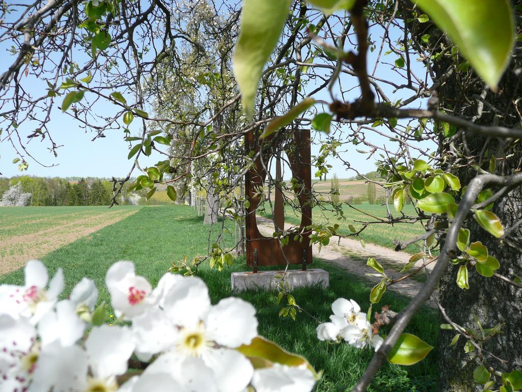 Ferienwohnungen Haus Sauer Offenheim Dış mekan fotoğraf